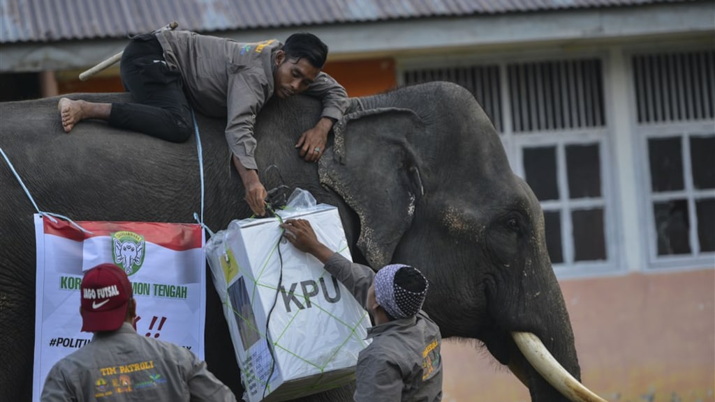 Een stembus wordt per olifant afgeleverd in Trumon in de provincie Atjeh