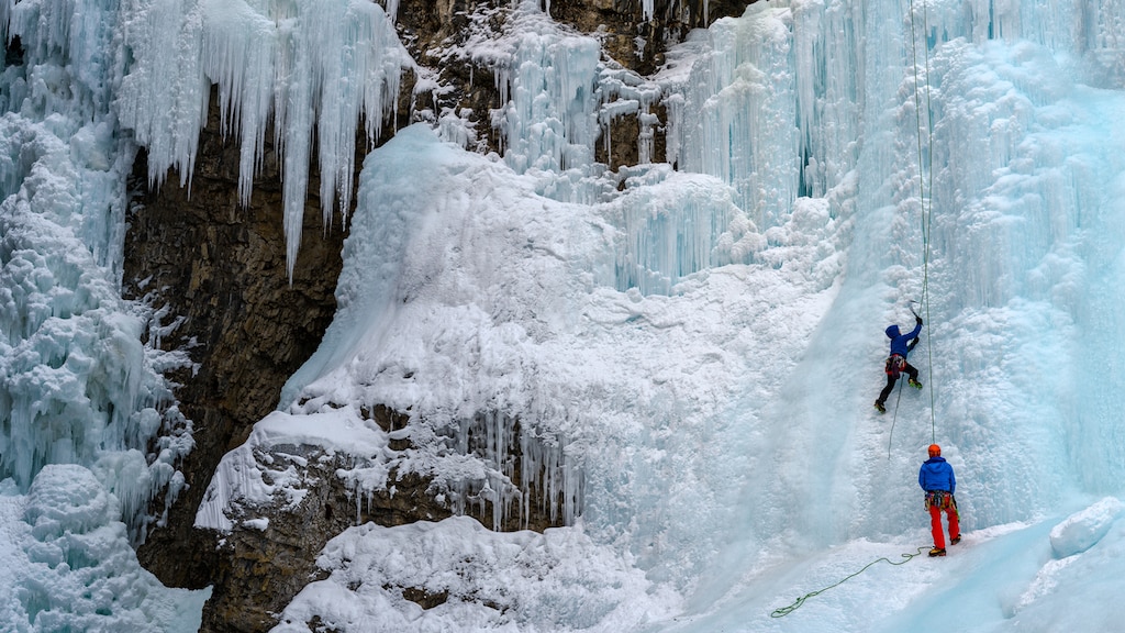 Lichamen ervaren alpinisten gevonden: 'David leefde zijn droom'