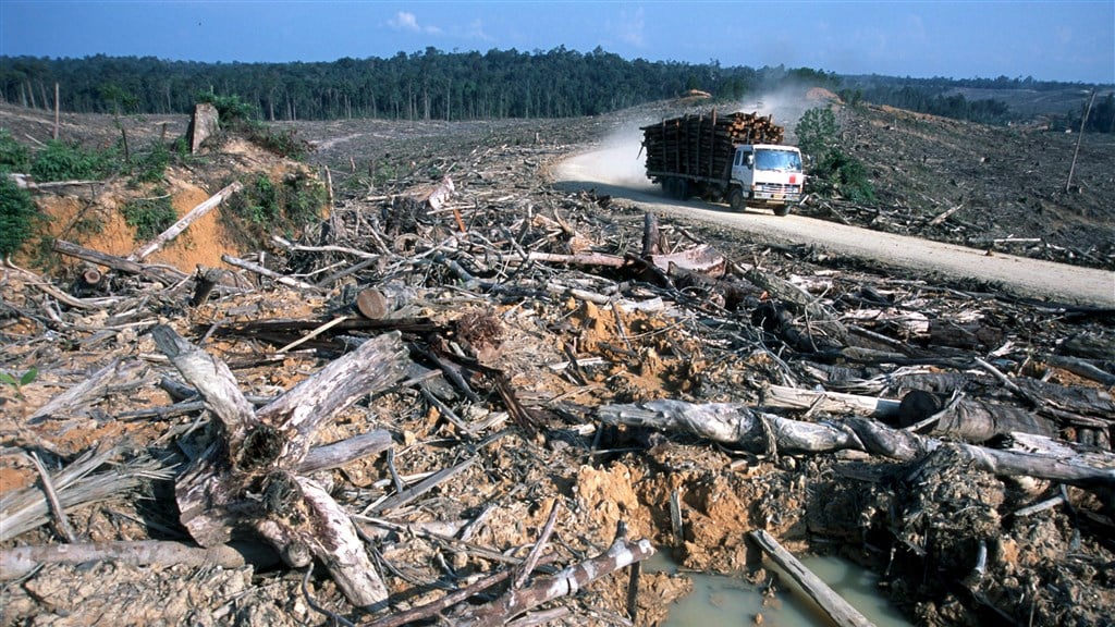 Milieudefensie klaagt over ING vanwege financiering productie palmolie