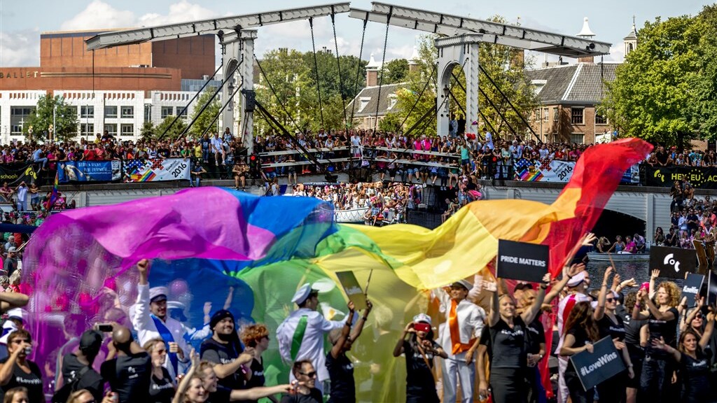 Kamer wil verbod op 'beschadigende homogenezing'