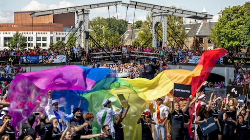 Kamer wil verbod op 'beschadigende homogenezing'