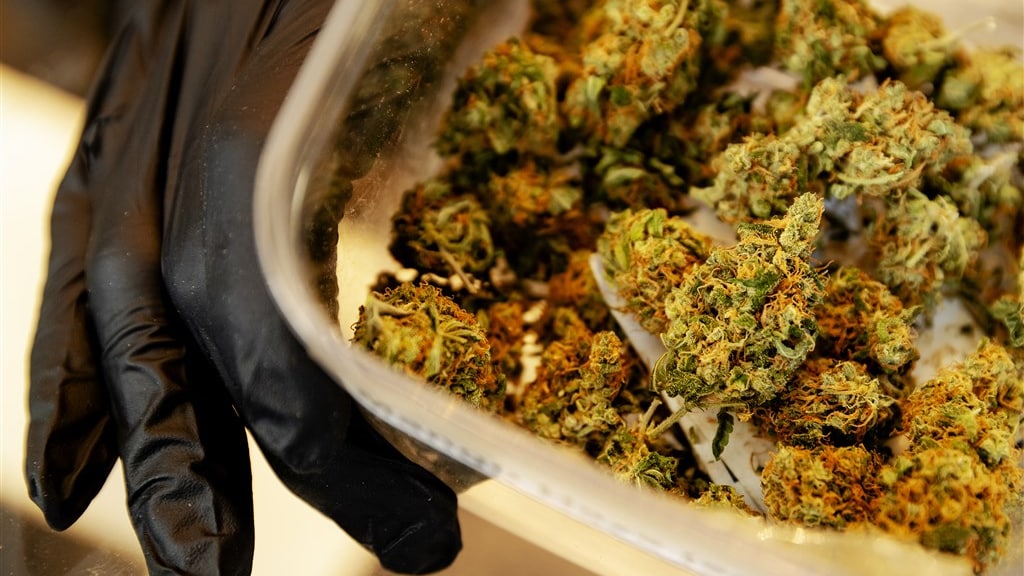 26 gemeenten geïnteresseerd in proef met legale wietteelt