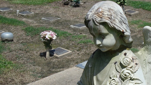 SGP wil rouwverlof op het werk, maar verdrietige collega heeft meer nodig