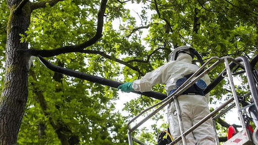 Rupsbestrijder Kristiaan (25) komt om in het werk: 'Mensen bedreigen ons'