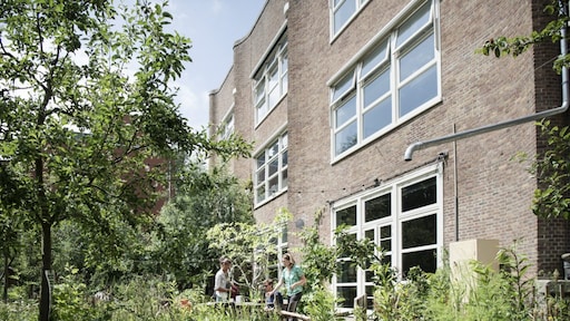 Waterplanten en warmtewisselaars: 'klimaatondernemers' zien gouden toekomst