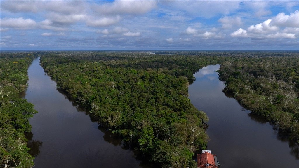 Onderzoekers: aanplanten nieuw bos kan opwarming aarde keren