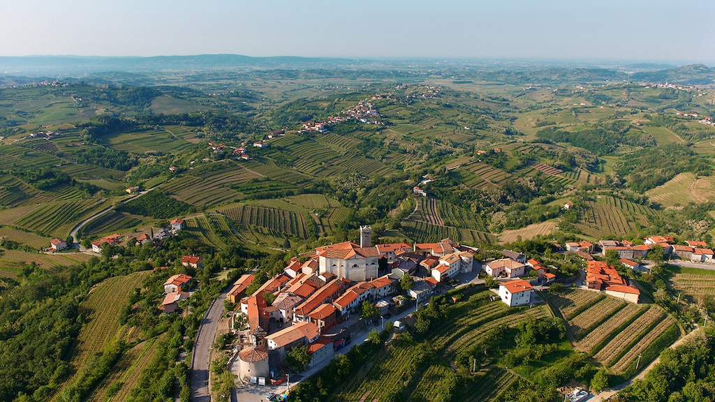Alleen al voor de wijnen kun je een vakantie naar Slovenië boeken