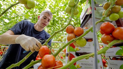 Van boer tot bord: eindelijk inzicht in de prijsvorming van ons eten