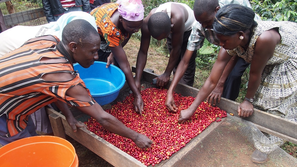 'Mooi verhaal achter koffie moet vanzelfsprekend zijn'