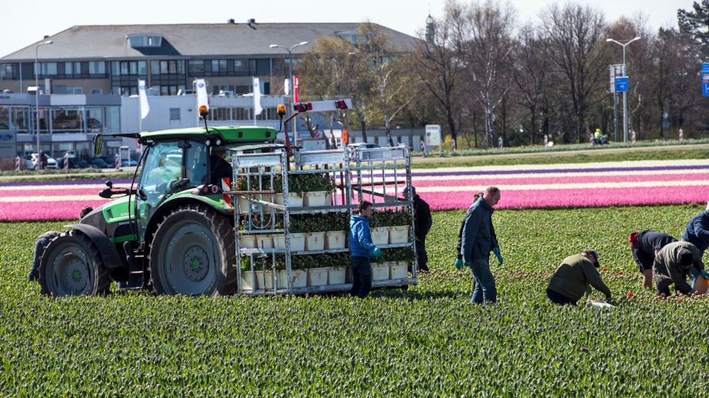 VN-rapport: uitputting bodem versterkt klimaatverandering