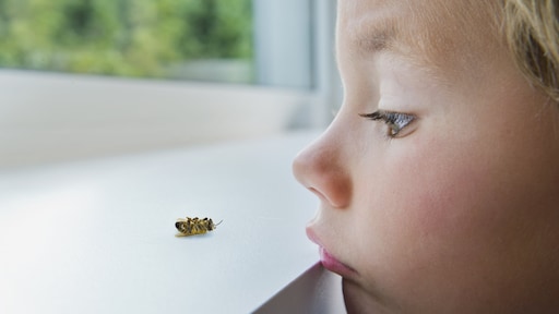 De opvoedkwestie: mijn zoon is bang voor de dood