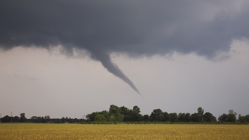 Hoe ontstaan tornado's en wat moet je doen als je er een ziet?