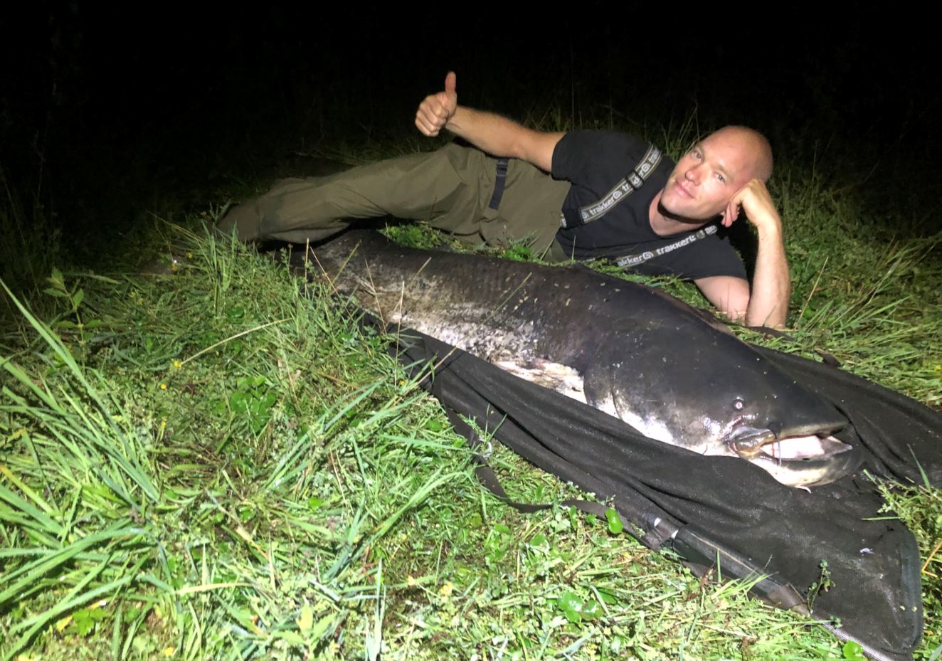 Twee meerval-records in één week: wat zwemt er nog meer rond?