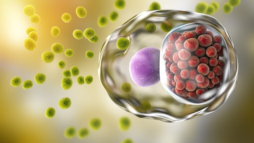 Onderzoekers hoopvol over vaccin in strijd tegen chlamydia