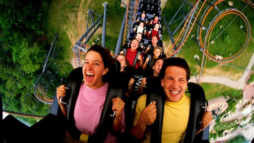 De 5 spelregels... in een pretpark