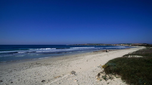 Toeristen opgepakt na stelen 40 kilo zand van strand Sardinië