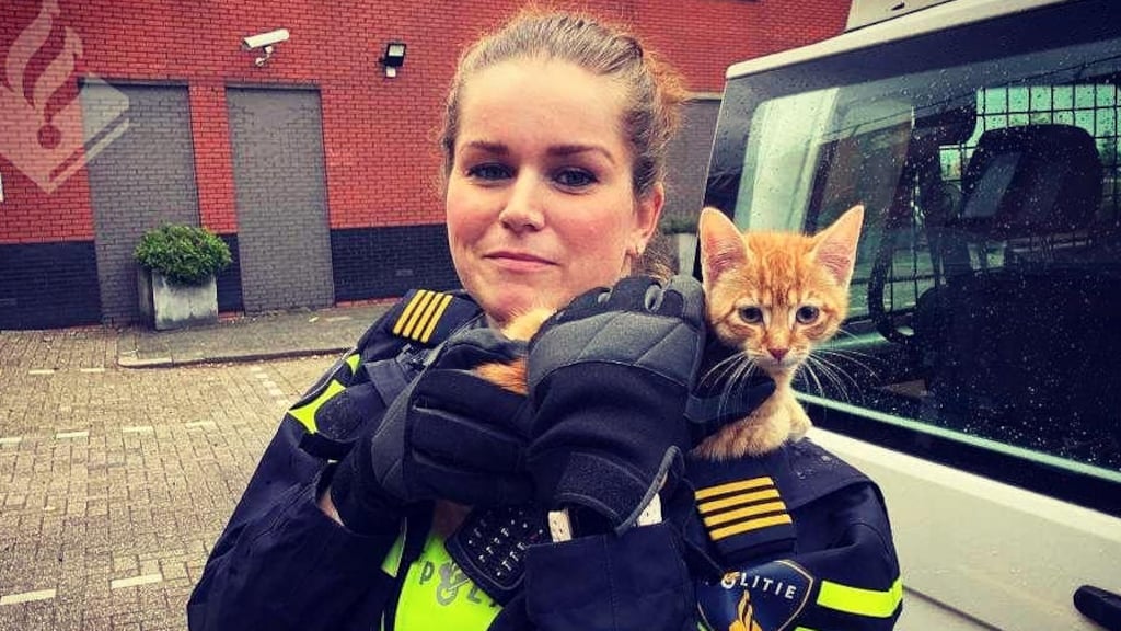 Verwaarloosde kitten zat anderhalve week aan touw op balkon
