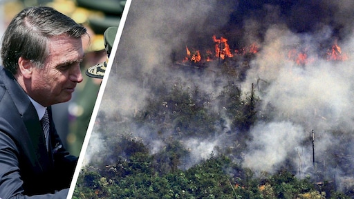 President Brazilië stuurt toch leger af op bosbranden Amazonegebied