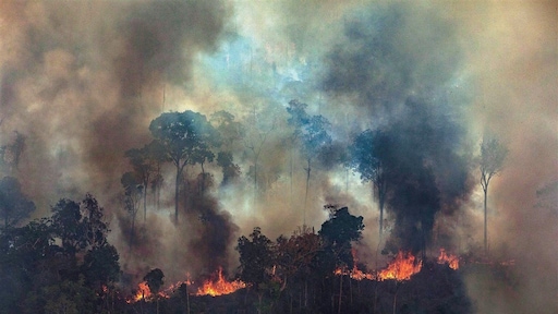 20 miljoen voor bestrijding bosbranden Amazone
