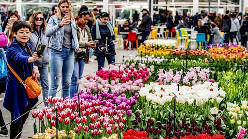 Bloemenfestijn Keukenhof stelt opening uit: 'grote financiële gevolgen'