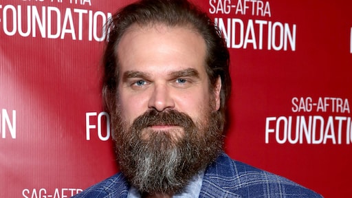 'Stranger Things-ster David Harbour date met Lily Allen'