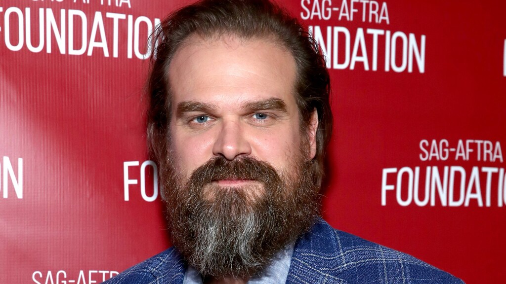 'Stranger Things-ster David Harbour date met Lily Allen'