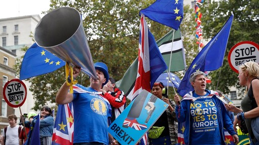 De brexit is nu echt een feit, Europees parlement stemt in met vertrek