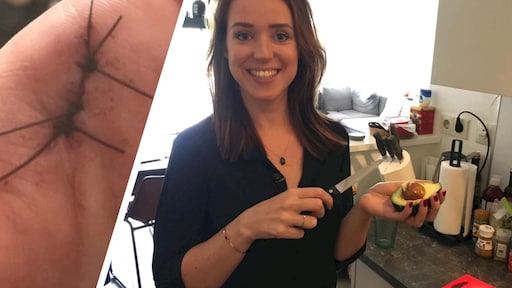 Avocado snijden gevaarlijk, steeds meer mensen naar eerste hulp