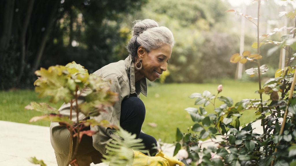 Pensioenkorting: hoe werkt dat en wat gaat er ongeveer af dan?