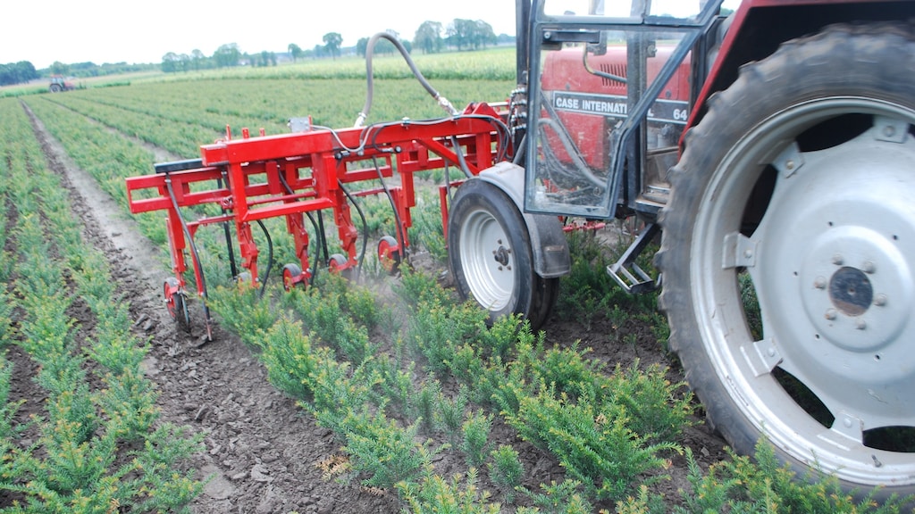 Boomkweker bestrijdt onkruid met lucht
