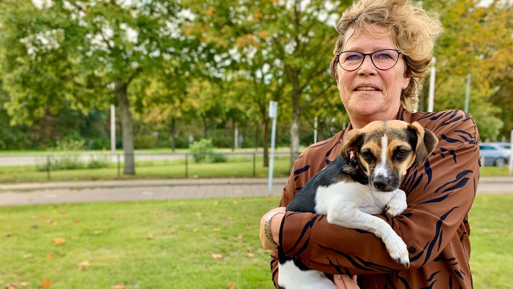 Pas op voor malafide hondenfokkers: verwaarloosde honden voor spotprijs