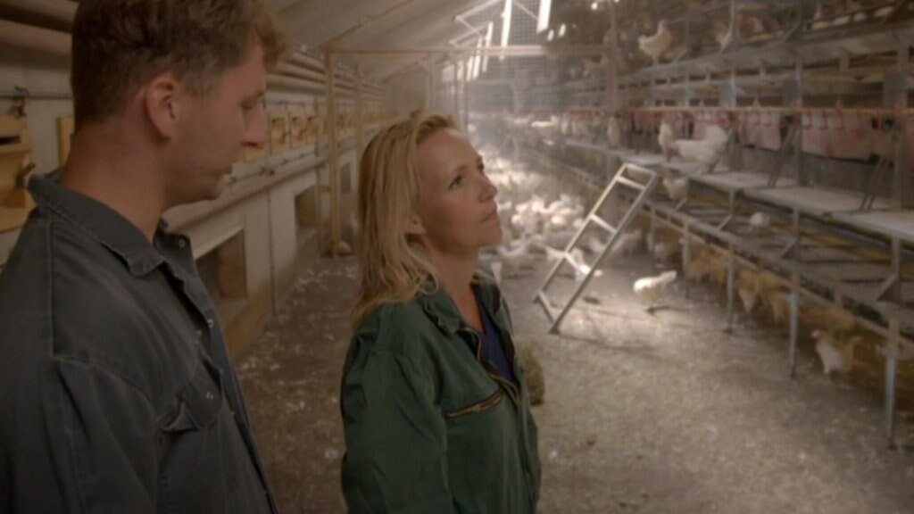 Dierenorganisaties klagen over 'valse voorlichting' Yvon Jaspers