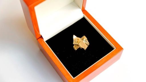 Wie valt in de prijzen tijdens Gouden Televizier-gala?