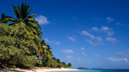 53 miljard euro aan Nederlands geld in belastingparadijzen