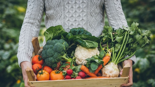 Rotterdam wil minder fastfoodzaken: 'Hamburger makkelijker te krijgen dan appel'