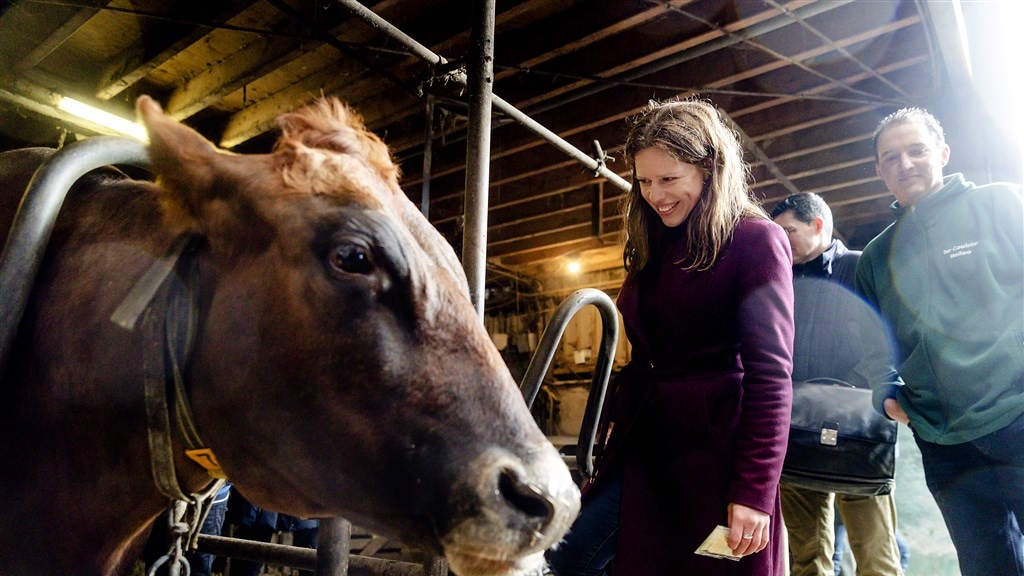 Wereld Natuur Fonds: stikstofaanpak kabinet niet genoeg