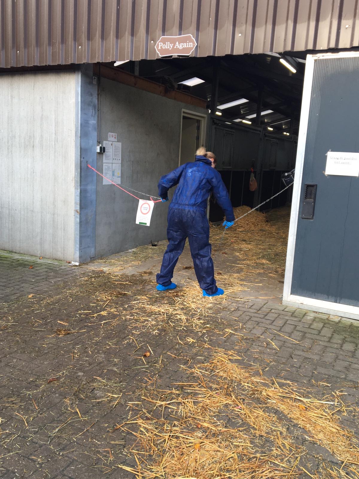 Dodelijk paardenvirus teistert manege Lelystad: 'Het is echt eng' 