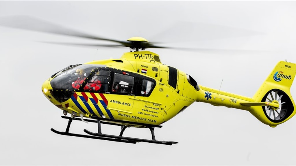 Baby in kritieke toestand door hondenbeet in Diemen