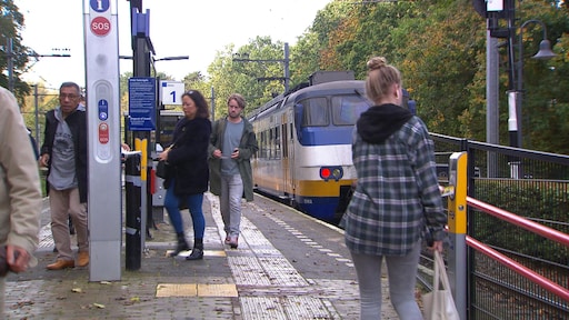 Spoorverzet: Formule 1-race Zandvoort heeft er een probleem bij