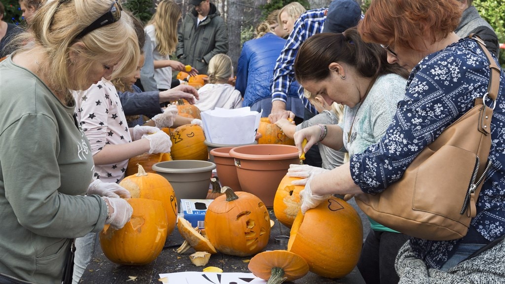 De pompoen is razend populair en niet alleen door Halloween