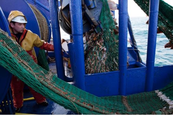 Onzekerheid bij Nederlandse vissers door brexit: 'Toekomst op spel' 