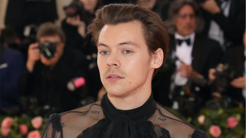 'Harry Styles doodsbang voor stalker en vreest veiligheid'