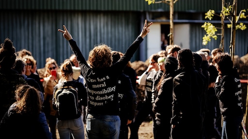Boete en voorwaardelijke straf voor dierenactivisten om stalbezetting Boxtel