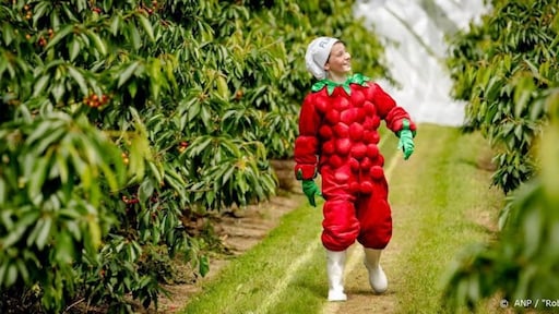 GTST-actrice Alexandra Alphenaar in musical over Flipje