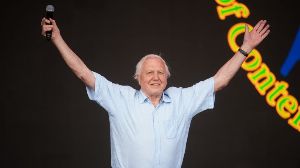 David Attenborough en crew aangevallen door ijsbeer