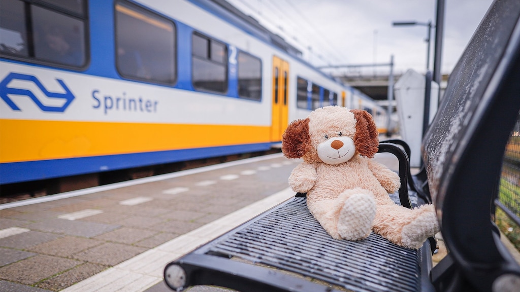 Wie is het baasje van Huub de hond? NS herenigt verloren knuffels met kinderen