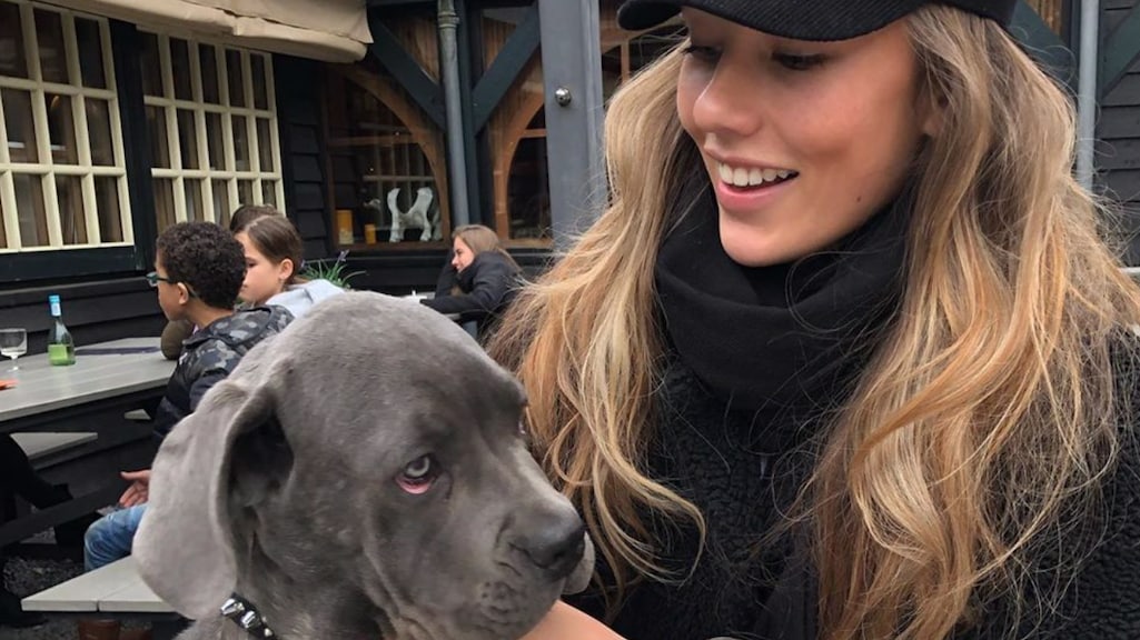 Ex Dave Roelvink ziek van verdriet