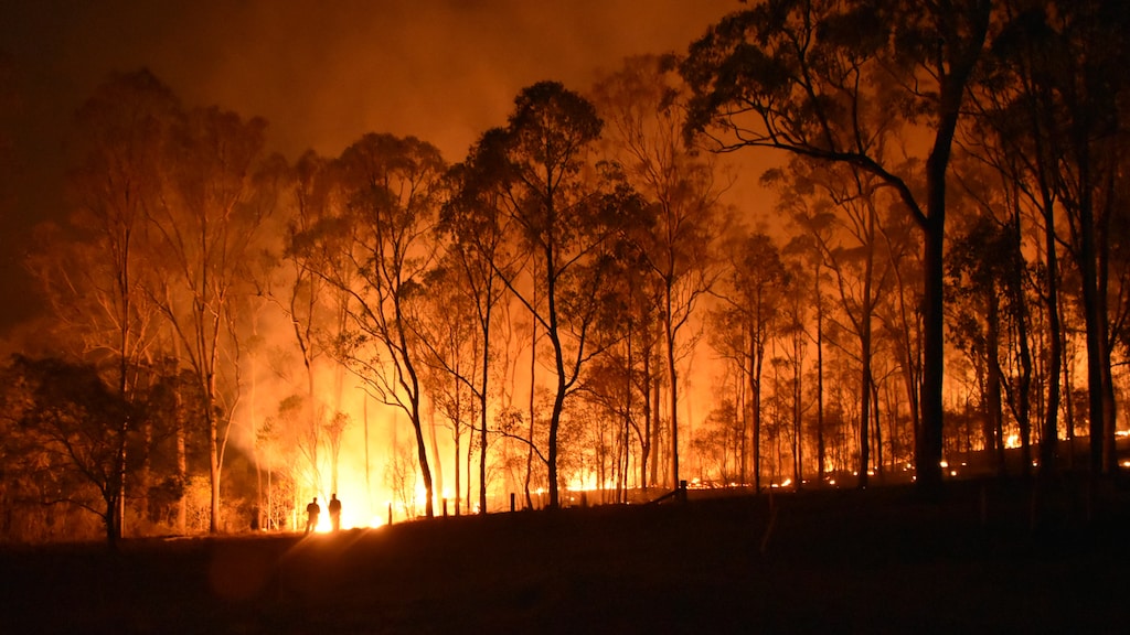 Wildgroei aan doneeracties voor Australië: 'Vergeet niet dat het een welvarend land is'