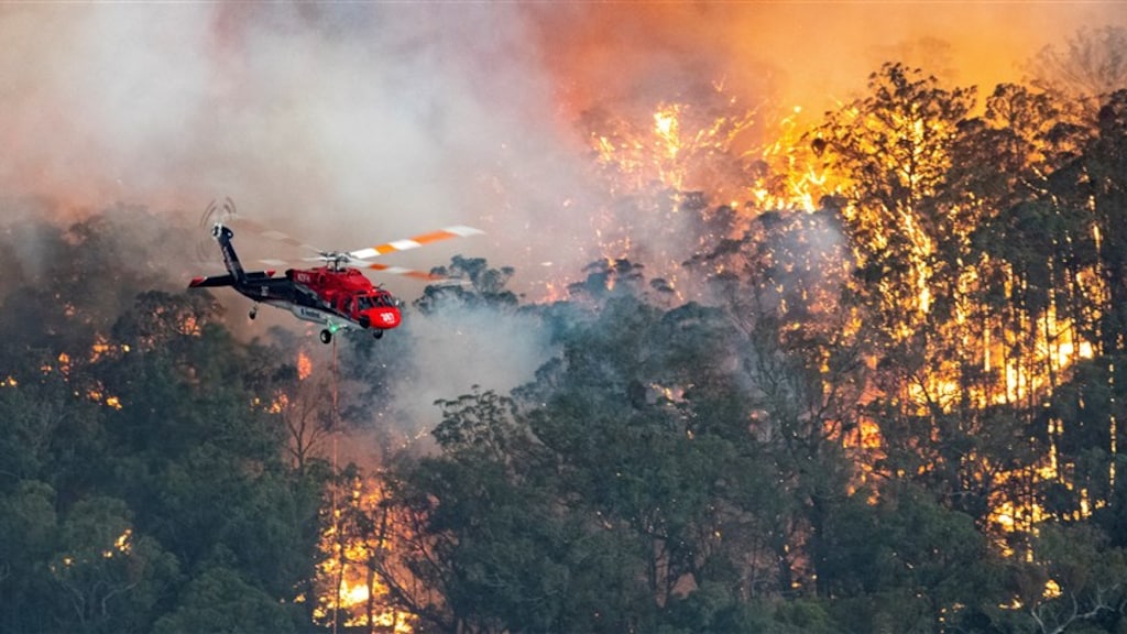 Nederlanders storten bijna miljoen euro voor hulp Australiërs en Australische dieren