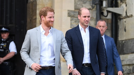 Prinsen Harry en William: 'Meghan is niet weggepest'